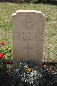 Ismailia War Memorial Cemetery - Lovet, Joseph